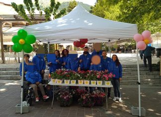 Ανεμώνη ΚΔΑΠ ΜΕΑ: Γιορτάζοντας την Παγκόσμια Ημέρα Περιβάλλοντος