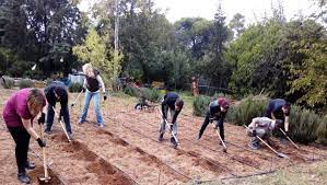 Χωρίς τίτλο