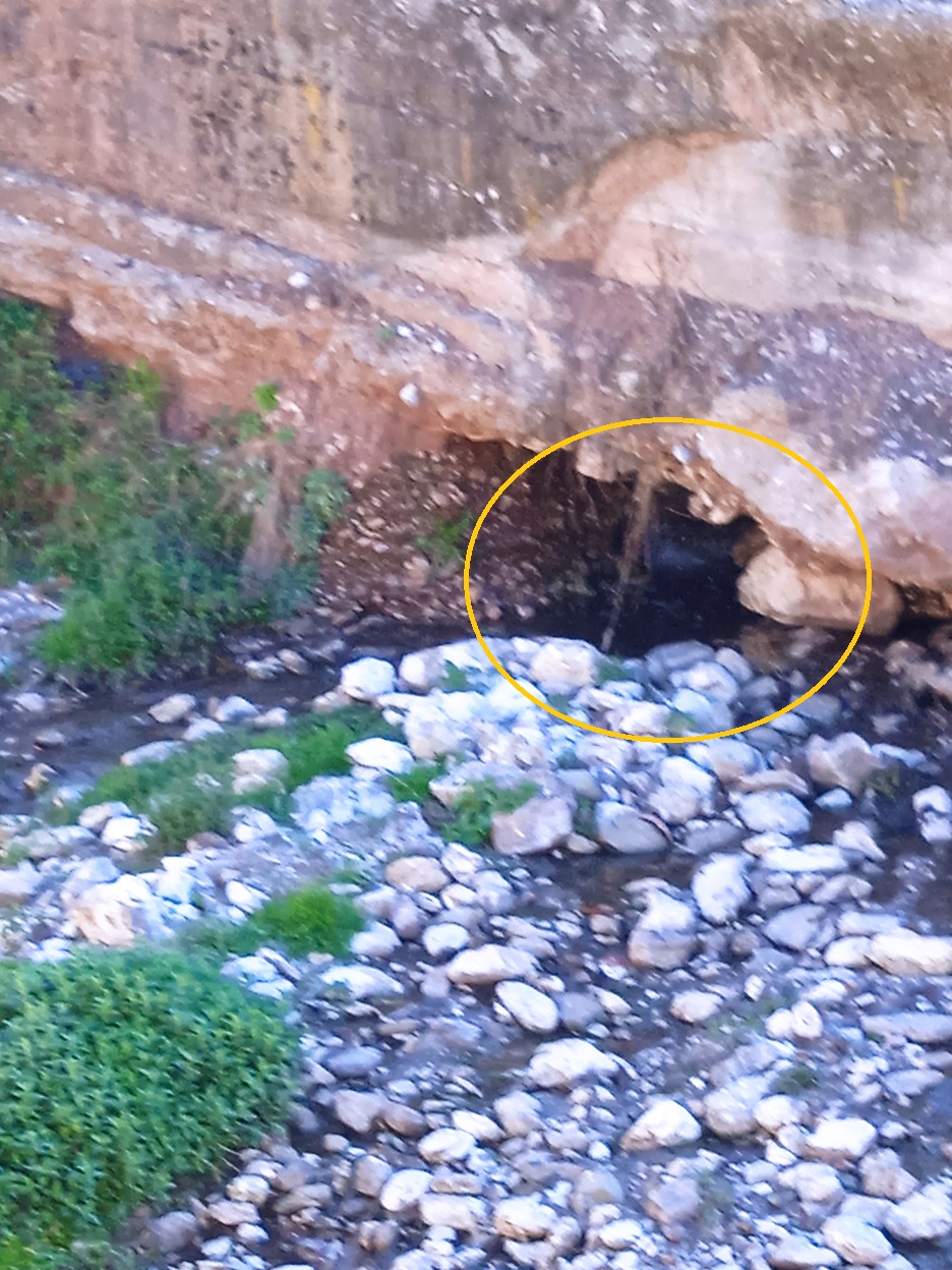 ΣΠΑΣΜΕΝΟΣ-ΑΓΩΓΟΣ