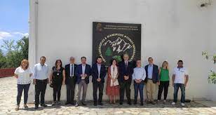 Χωρίς τίτλο