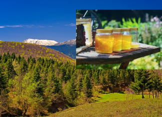 4.000€ για αναμνηστικά δώρα του Δήμου Αγράφων agrf frontpage 2048x1280 overlay