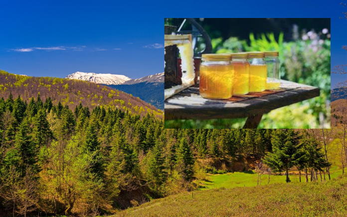 agrf frontpage 2048x1280 overlay agrf frontpage 2048x1280 overlay