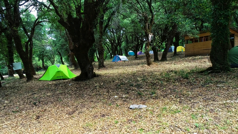 1000096783 edited1 1