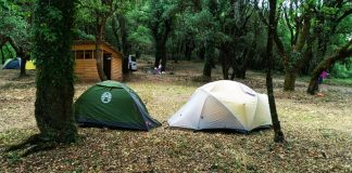 1000096797 edited 11