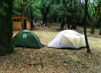 1000096797 edited 11