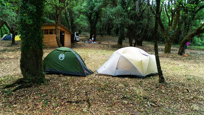 1000096797 edited 11