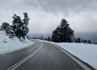 326804866 2927348427397394 5060020472106335172 n