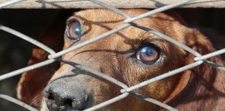 d792fbb6c2b6feb2455aa3611d17851c