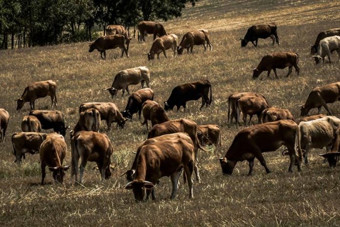 401aed5509ab9ed81602498b8a902946 xl 401aed5509ab9ed81602498b8a902946 xl