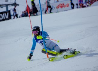 426701276 18413048581023989 1754767003834850973 n (1)