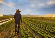 crop farmer