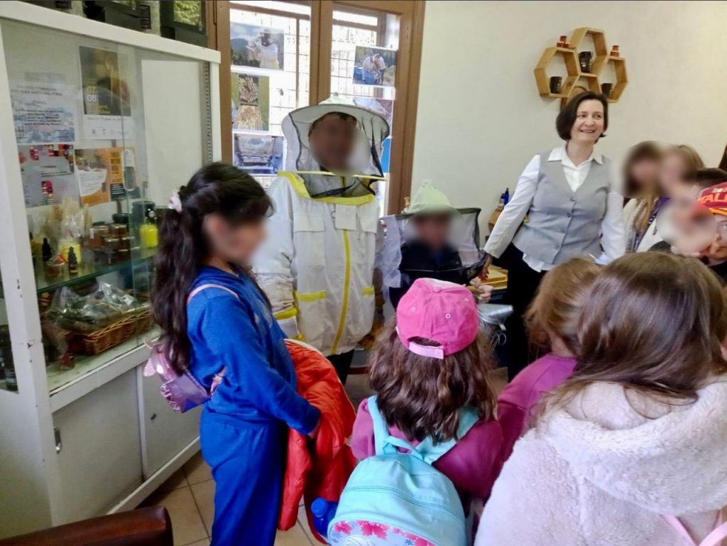 431450900 330607289983766 5006335430553335619 n