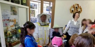 431450900 330607289983766 5006335430553335619 n