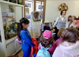 431450900 330607289983766 5006335430553335619 n