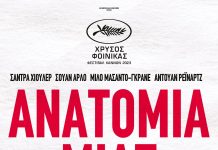 ‘Ανατομία μιας πτώσης’ στο Συνεδριακό Κέντρο Καρπενησίου cinema