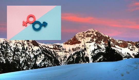 genderequality genderequality