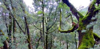 viber 2024 03 05 18 29 15 085