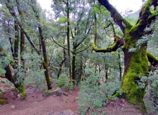 viber 2024 03 05 18 29 15 085