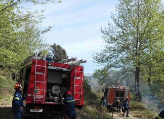 437570315 982273366572785 767279