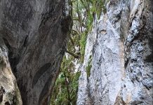 Φαράγγι Μπουζουνίκου. Το σπάνιο γεωλογικό φαινόμενο που δημιουργήθηκε μετά από ισχυρή νεροποντή a105fbd6 4b2e 457e 95e3 e12442387336