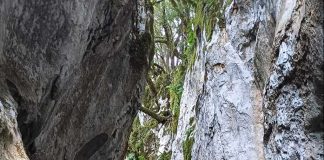 a105fbd6 4b2e 457e 95e3 e12442387336