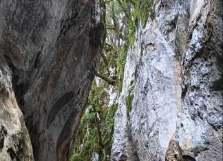 a105fbd6 4b2e 457e 95e3 e12442387336