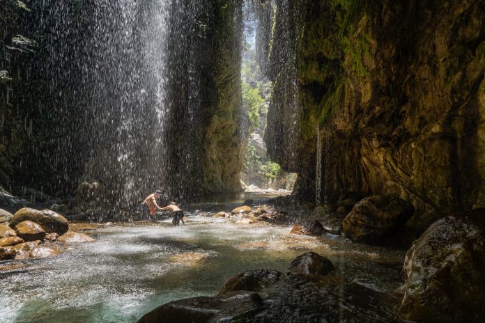 pantavrehei front pantavrehei front