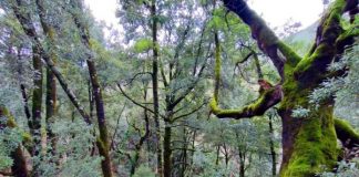 viber 2024 03 05 18 29 15 085 696x522