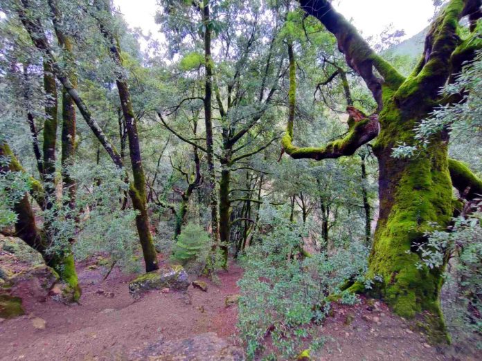 viber 2024 03 05 18 29 15 085 696x522 viber 2024 03 05 18 29 15 085 696x522