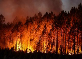 topshot france wildfires