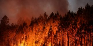 topshot france wildfires