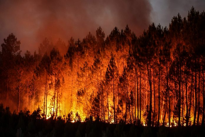 topshot france wildfires topshot france wildfires