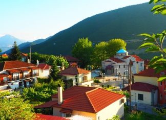 10.000 € για τον καθαρισμό δρόμων στις Δ.Ε Φραγκίστας και Απεραντίων olympus digital camera