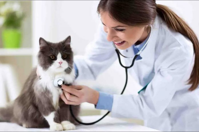 featured proti episkepsi ktiniatro