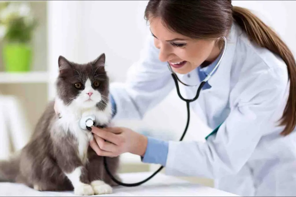 featured proti episkepsi ktiniatro