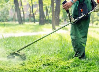 oikopedo katharismos