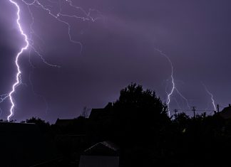 pexels photo 9541875