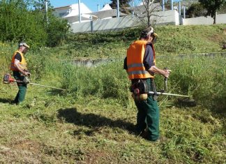 3d275a0d60479f6196abedf2b5c91384 xl