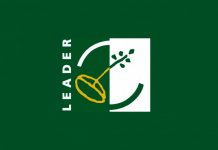 leader