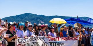 449416836 1826579337852584 8810230405918720133 n