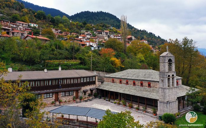 moni domnianon01 moni domnianon01