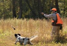 hunter 2 640x400