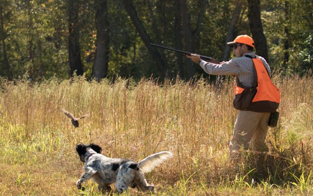 hunter 2 640x400 hunter 2 640x400