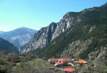 karitsa