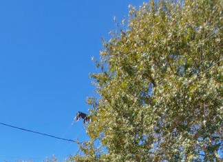 Παρέλαση 28ης στο Καρπενήσι image 23