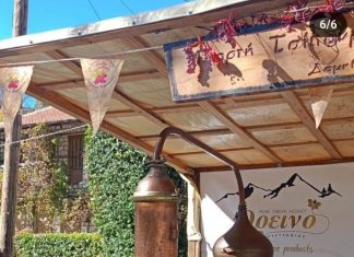 Γιορτή τσίπουρου Δομνίστας screenshot 20241028 093744 instagram