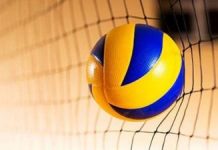 volei