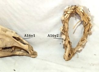 ΠΡΟΣΤΑΣΙΑ ΑΠΟ ΜΕΤΑΦΥΣΙΚΟΥΣ ΕΧΘΡΟΥΣ xouliaraw 28