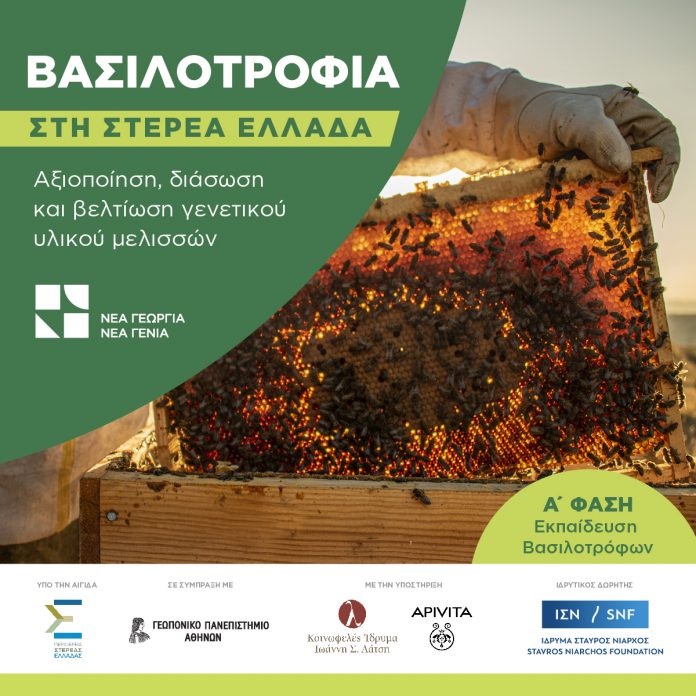 vasilotrofia a 1200x1200 vasilotrofia a 1200x1200