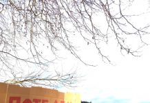 f5bc5c1f 4e3c 43c2 8a33 3e55093812d5